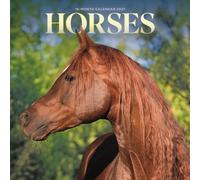 Horses M