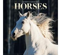 Horses Mini Calendar 2025