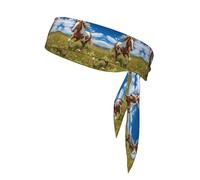 Horses on The Prairie Printed Sports Headband Tennis Headband Suitable for Basketball Running and Track and Field