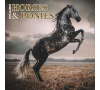 Horses & Ponies 2026 Calendar