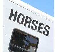Horses | Set of 2 | Equestrian HorseBox Vinyl Lettering Decal Sticker