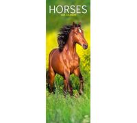 Horses Slim 2026 Calendar | Slimline Wall Calendar | Animal Gift | Plastic Free Packaging | by Avonside Publishing