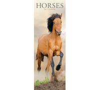 Horses Slim 2027 Calendar | Slimline Wall Calendar | Animal Gift | Plastic Free Packaging | by Avonside Publishing