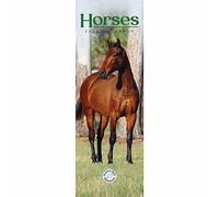 Horses Slim Calendar 2024