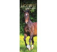 Horses Slim Calendar 2026