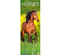 Horses Slim 2026 Calendar | Slimline Wall Calendar | Animal Gift | Plastic Free Packaging | by Avonside Publishing