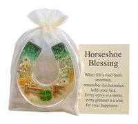 Horseshoe Blessing Pocket Hug,Lucky Horseshoe Pocket Hug with Blessing Message Card,Carry Luck in Your Palm,Inspirational Lucky Charm Keepsake Gift for Friends and Loved Ones