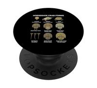 Horseshoe Crab Forms - Lifecycle and Morphotypes Scientific PopSockets Adhesive PopGrip