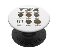 Horseshoe Crab Forms - Lifecycle and Morphotypes Scientific PopSockets Adhesive PopGrip