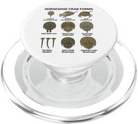 Horseshoe Crab Forms - Lifecycle and Morphotypes Scientific PopSockets PopGrip for MagSafe