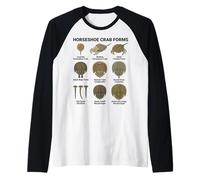Horseshoe Crab Forms - Lifecycle and Morphotypes Scientific Raglan Baseball Tee