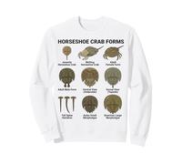Horseshoe Crab Forms - Lifecycle and Morphotypes Scientific Sweatshirt