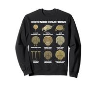 Horseshoe Crab Forms - Lifecycle and Morphotypes Scientific Sweatshirt