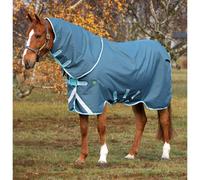 Horseware Amigo AmECO 12 Plus 250g Turnout Rug Teal