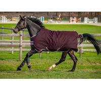 Horseware Amigo Hero Ripstop 200g Standard Neck Horse Turnout Rug 69_5'9", Fig/Silverver