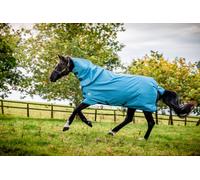 HORSEWARE AMIGO HERO 900 REVIVE PLUS 50G TURNOUT RUG SALE RRP £130