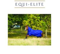 Horseware Amigo Hero 900 Rug Plus Hood - Lite 0g Lightweight Outdoor Turnout Rug