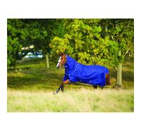 Horseware Amigo Hero 900 Rug Plus Hood - Medium Weight 200g Outdoor Turnout Rug