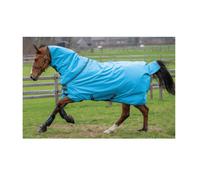 Horseware Amigo Hero 900 Rug Plus Hood - Medium Weight 200g Outdoor Turnout Rug