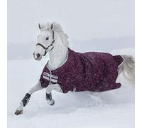 Horseware Amigo Hero Ripstop 200g Standard Neck Horse Turnout Rug 69_5'9", Fig/Silverver