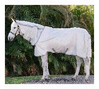 Outdoor Blanket Horseware Amigo integrated Fly Sheet