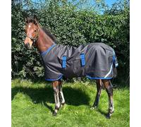 Outdoor Blanket for foals Horseware Amigo Ripstop 900D 200g