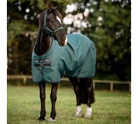 Horseware Amigo Ripstop 900D Turnout Rug 0g Dynasty Green/Navy/Silver