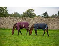 HORSEWARE AMIGO RIPSTOP FOAL RUG 200G TURNOUT RUG
