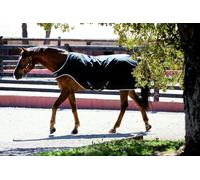 Horseware Amigo Walker Rug