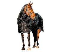 Horseware Easy-Layer Stable Plus 200g 54 Black