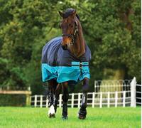 Horseware Mio Turnout Rug 600d Mediumweight 200g Blue/Red Black/Aqua 3'9"-7'0"