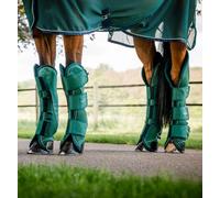 Horseware Rambo Signature Travel Boots Padded Protective Set Navy/Green/Burgundy