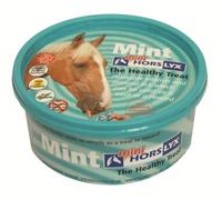 Horslyx - Horse Mini Licks Mint x Size: 12 Pack Bulk Buy