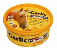 Horslyx Mini Licks Garlic x 12 Pack