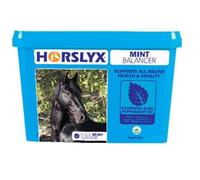 Horslyx Mint Balancer Horse Supplement Lick, 5 kg