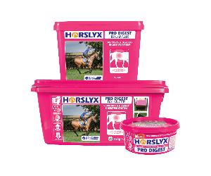 Horslyx Pro Digest Balancer Horse Lick | Supports Healthy Digestion | 650g - 5kg
