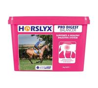 Horslyx Refill Horse Lick (5 kg) (Pro Digest)