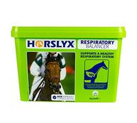 Horslyx Respiratory Lick (650g) (May Vary)
