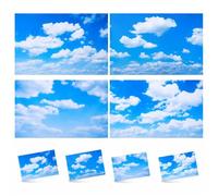 Hortsun 4 Pcs 4 x 2 Feet Blue Sky Cloud Fluorescent Light Covers for Ceiling Lights Classroom Office Magnetic Light Filters Light Diffusers for Reducing Harsh Glare Flicker Home Decorations