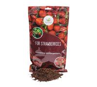 Hortulani Microbiological Strawberry Plant Food - Natural Soil Improver - Promotes Sweeter Berries & Stronger Roots - Bio-Friendly Garden Fertiliser with Growth-Boosting Organisms - 500g for 50m2