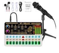 Hosabely Podcast Equipment Pack, Basic Audio Interface with Microphone and Stand, Denosing, Ducks, Removing Vocals, Loopback, Easy to Use Podcast Equipment Pack for KTV
