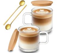 hosck 2 Pack 480ml Coffee Mug Set, Clear Glass Coffee Mugs, Coffee Cups with Lid and Spoon, Dishwasher & Microwave Safe Glass Mug for Coffee Juice Yogurt, Ideal Gifts for Women, Men, Coffer Lovers