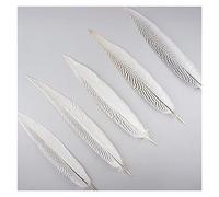 HOSD QR 10pcs 25-80CM 8-32inch Natural Silver Pheasant Tail Feathers White Pheasant Feathers For Crafts Wedding DIY Costume feathers D19 (Color : 25-30CM 10-12Inch, Size : 10 PCS)