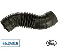 Hose, air supply for CHEVROLET CAPTIVA GATES ANTK1167
