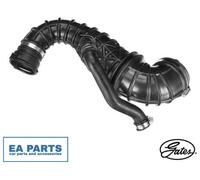 Hose, air supply for FORD FOCUS TOURNEO CONNECT TRANSIT CONNECT GATES ANTK1058
