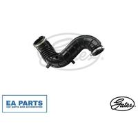 Hose, air supply for FORD TOURNEO CONNECT TRANSIT CONNECT GATES ANTK1060