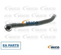 Hose, air supply for VW GOLF VAICO V10-3734 fits Secondary Air Pump