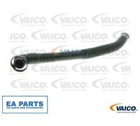 Hose, air supply for VW PASSAT VAICO V10-3734 fits Secondary Air Pump