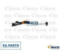 Hose, crankcase breather for AUDI A3 A4 A5 Q5 VAICO V10-3879 fits Left Rear