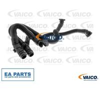 Hose, crankcase breather for AUDI A4 A6 A8 VAICO V10-3503